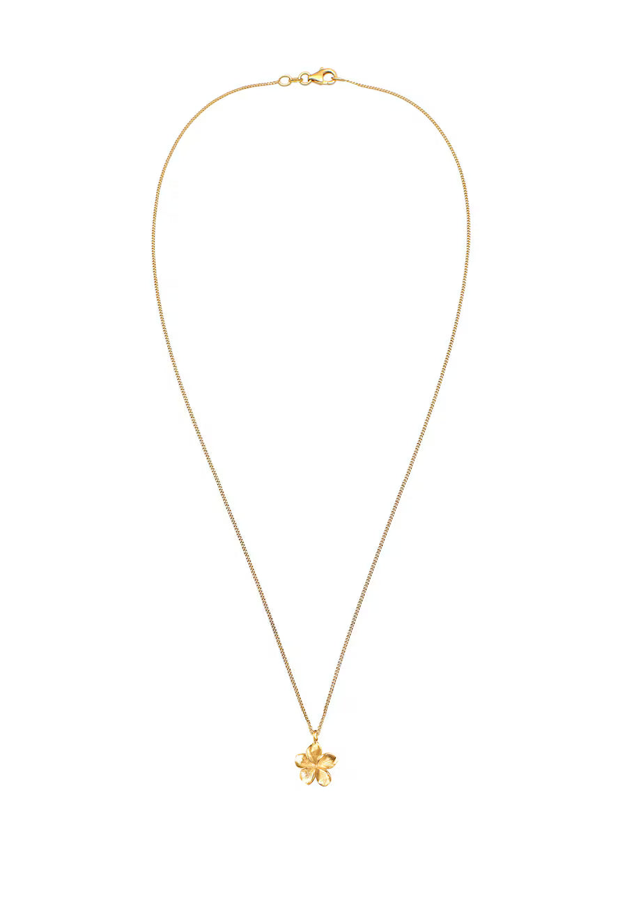 Elli Frangipani Blüte 925 Sterling Silber